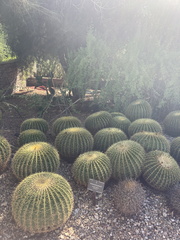 Foto 14.08.22, 15 55 29