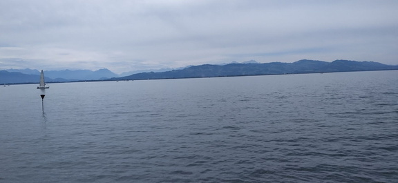 IMG 20200825 133211