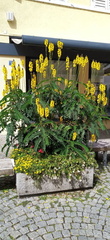 IMG 20200825 135538 1