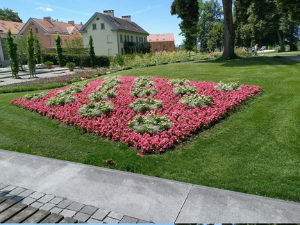 IMG 20240708 124318